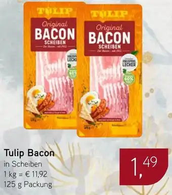 Dornseifer Tulip Bacon Angebot