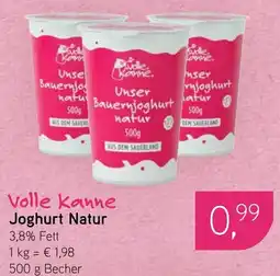 Dornseifer Volle kanne Joghurt Natur Angebot