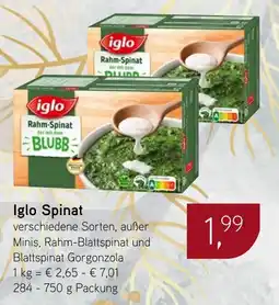 Dornseifer Iglo Spinat Angebot