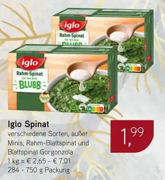 Dornseifer Iglo Spinat Angebot