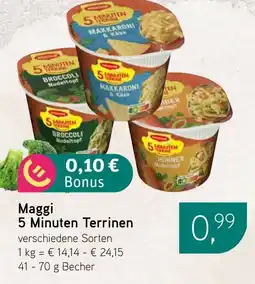 Dornseifer Maggi 5 Minuten Terrinen Angebot