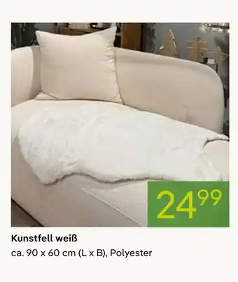 Pflanzen Kölle Kunstfell weiß Angebot