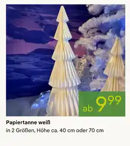 Pflanzen Kölle Papiertanne weiß Angebot