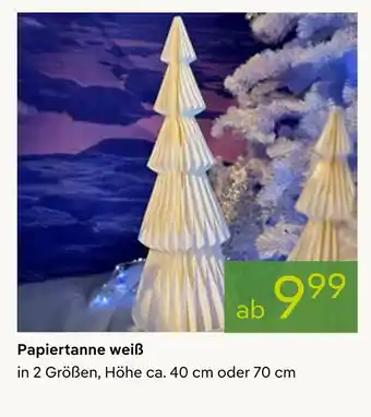Pflanzen Kölle Papiertanne weiß Angebot