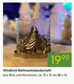 Pflanzen Kölle Windlicht weihnachtslandschaft Angebot