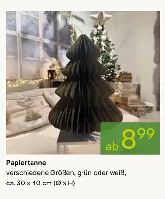 Pflanzen Kölle Papiertanne Angebot