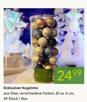 Pflanzen Kölle Exklusiver kugelmix Angebot