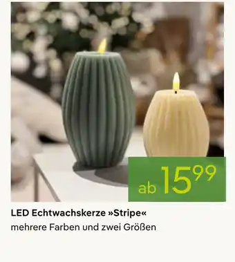 Pflanzen Kölle Led echtwachskerze stripe Angebot