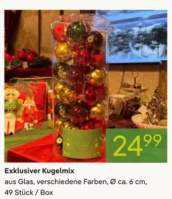 Pflanzen Kölle Exklusiver kugelmix Angebot