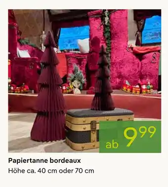 Pflanzen Kölle Papiertanne bordeaux Angebot