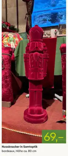 Pflanzen Kölle Nussknacker in samtoptik Angebot