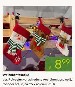 Pflanzen Kölle Weihnachtssocke Angebot