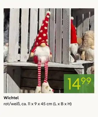 Pflanzen Kölle Wichtel Angebot