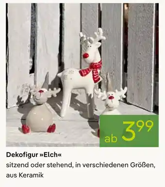 Pflanzen Kölle Dekorfigur elch Angebot