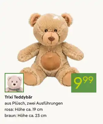 Pflanzen Kölle Trixi teddybär Angebot