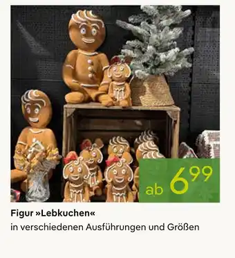 Pflanzen Kölle Figur lebkuchen Angebot