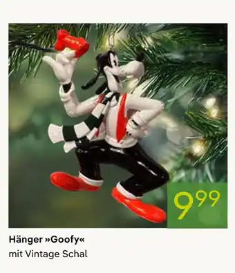 Pflanzen Kölle Hänger goofy Angebot
