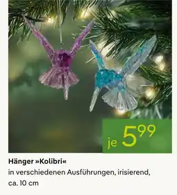 Pflanzen Kölle Hänger kolibri Angebot