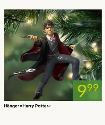 Pflanzen Kölle Hänger harry potter Angebot