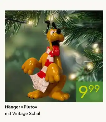 Pflanzen Kölle Hänger pluto Angebot