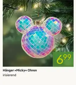 Pflanzen Kölle Hänger micky ohren Angebot