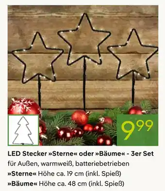 Pflanzen Kölle Led stecker sterne Angebot