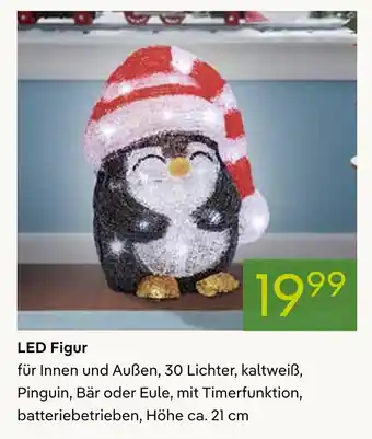 Pflanzen Kölle Led figur Angebot