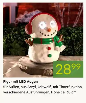 Pflanzen Kölle Figur mit led augen Angebot