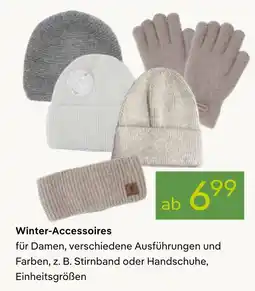 Pflanzen Kölle Winter-accessoires Angebot