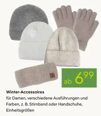 Pflanzen Kölle Winter-accessoires Angebot