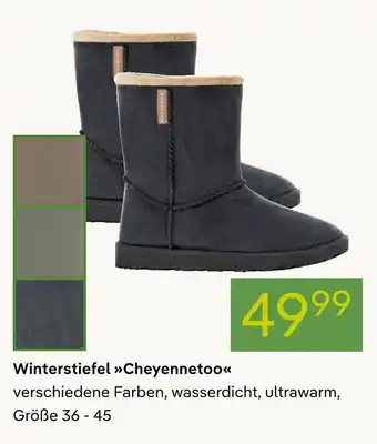 Pflanzen Kölle Winterstiefel cheyennetoo Angebot