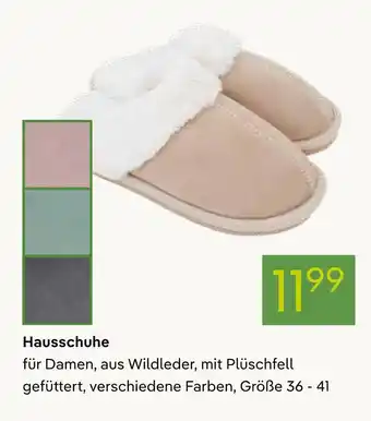 Pflanzen Kölle Hausschuhe Angebot
