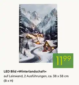 Pflanzen Kölle Led bild winterlandschaft Angebot