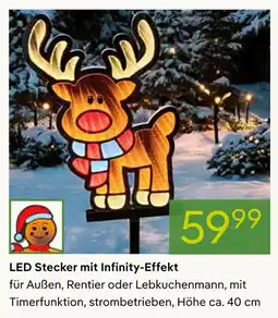 Pflanzen Kölle Led stecker mit infinity-effekt Angebot