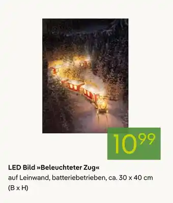 Pflanzen Kölle Led bild beleuchteter zug Angebot
