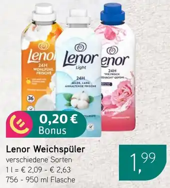 Dornseifer Lenor Weichspüler Angebot
