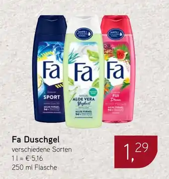 Dornseifer Fa Duschgel Angebot