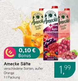 Dornseifer Amecke Säfte Angebot