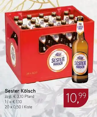 Dornseifer Sester Kölsch Angebot