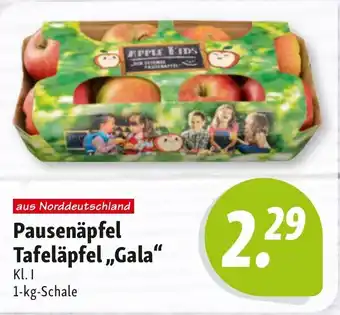 Nah & Frisch Pausenäpfel Tafeläpfel,,Gala“ Angebot