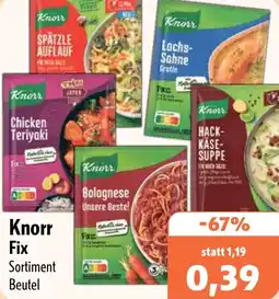 Aktiv Irma Knorr Fix Angebot