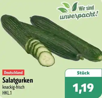Aktiv Irma Deutschland Salatgurken Angebot