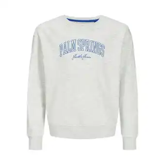 Netto Marken-Discount Jack & Jones Junior Pullover DETROIT Sweatshirt Angebot