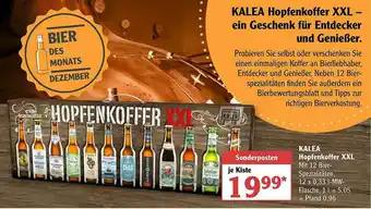 Globus Kalea Hopfenkoffer Xxl Angebot