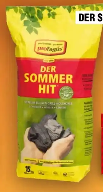 Handelshof proFagus Der Sommer Hit Premium Grill-Holzkohle Angebot