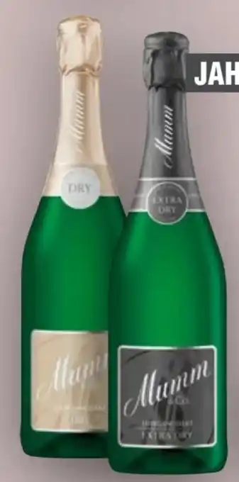 Handelshof Mumm & Co. Jahrgangssekt Angebot