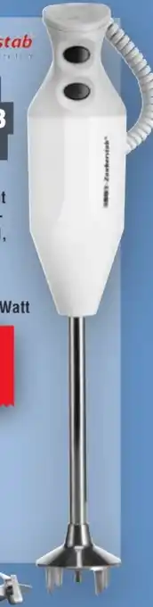 Handelshof Esge Zauberstab Stabmixer P 200 Profi Angebot