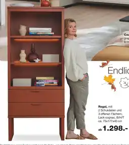 Möbel Inhofer Mondo regal Angebot