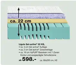 Möbel Inhofer Ligula gel-active 22 ks Angebot