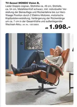 Möbel Inhofer Mondo tv-sessel vision b Angebot